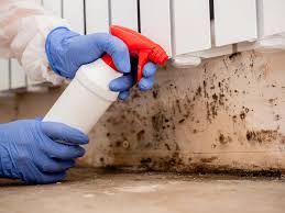 Asbestos and Lead Testing During Mold Inspection in Mount Healthy Heights, OH